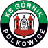 Górnik Polkowice